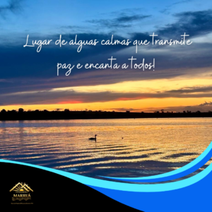 Inserir um subtítulo (2)